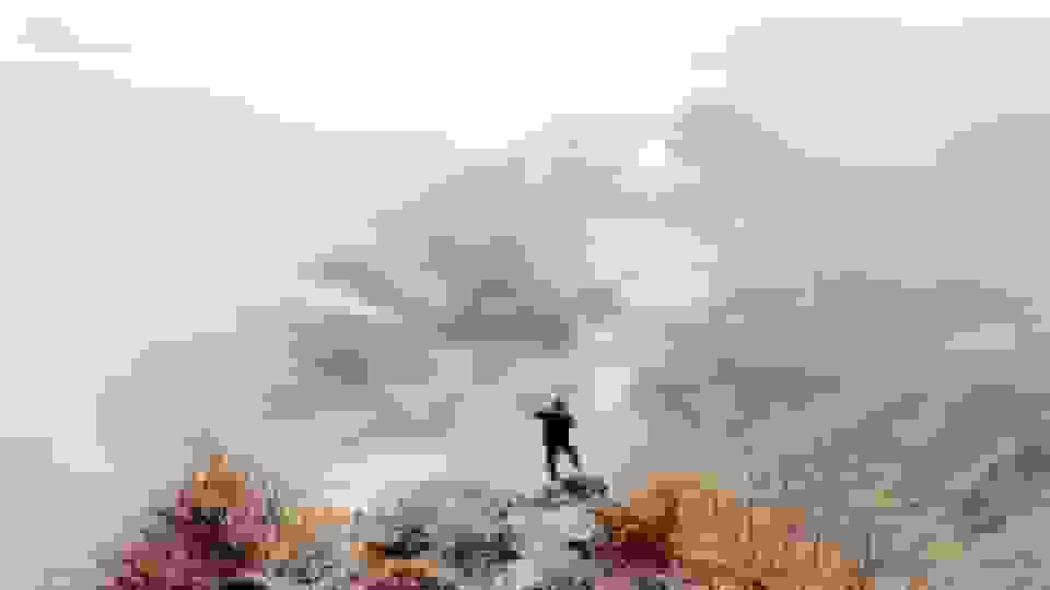 نایب رییس انجمن جنگلبانی: حدود ۲۰ درصد از درختان جنگلهای الیت آسیب دیدهاند