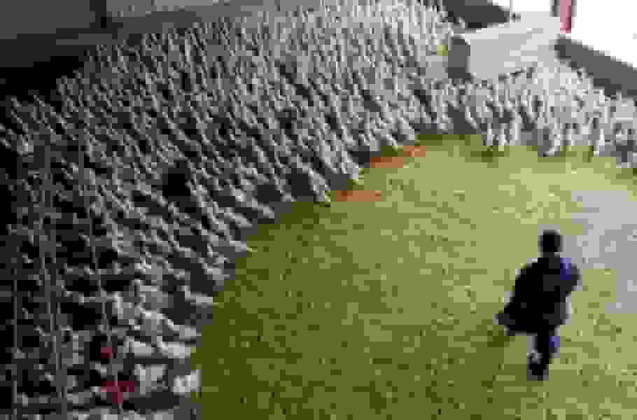 مؤسسه پاستور فرانسه: آنفلونزای پرندگان در صورت جهش میتواند همهگیری شدیدتر از کرونا ایجاد کند