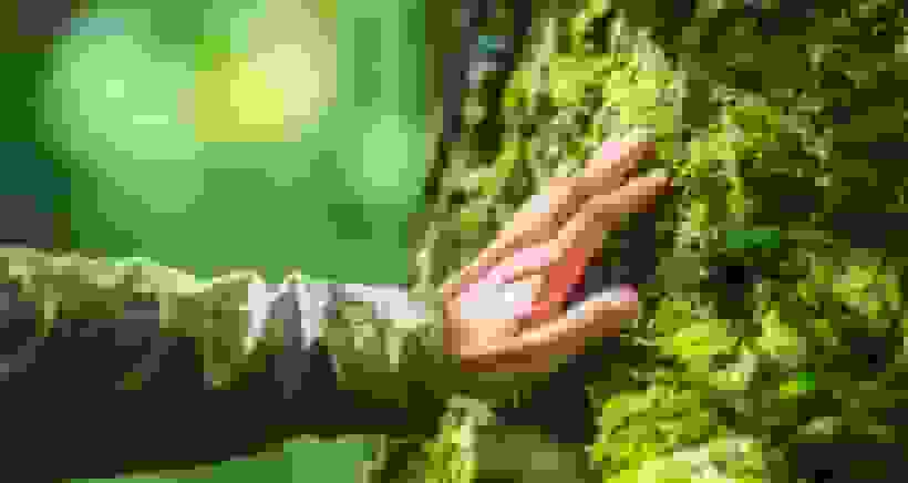 بدن انسان برای طبیعت ساخته شده نه زندگی مدرن؛ هشداری جدی