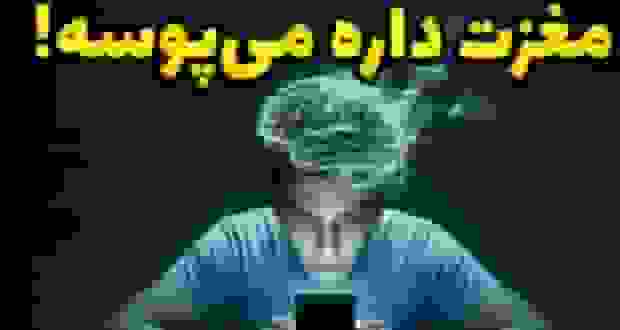 فاجعه اسکرول کردن در اینستاگرام؛ تأثیر منفی بر سلامت مغز