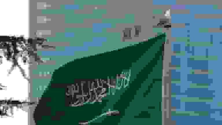 عقبنشینی بزرگ عربستان در پروژه شهر لاین نئوم