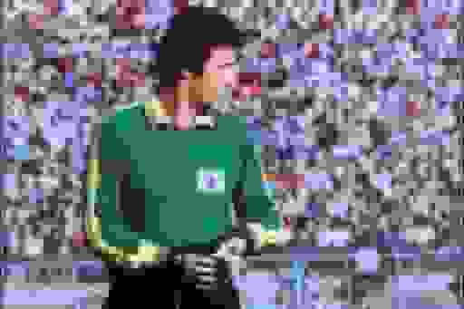 عکسهای کمتر دیده شده از ناصر حجازی در جوانی با شلوار بوتکات