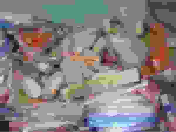 کشف ۴۰۰ کیلوگرم ران مرغ فاسد در سلماس توسط سرهنگ مظلومی