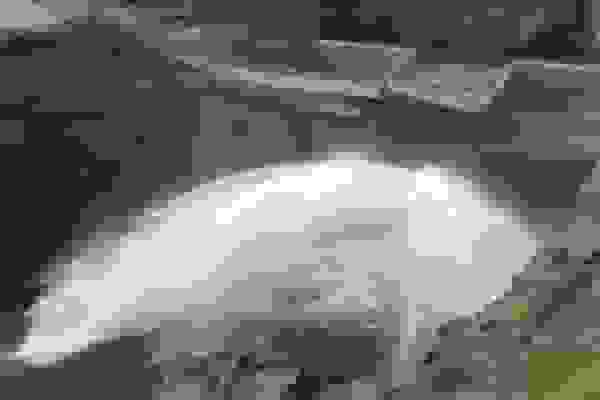 آغاز رهاسازی آب از سد گتوند برای کشت پاییزه و بهبود کیفیت آب کارون