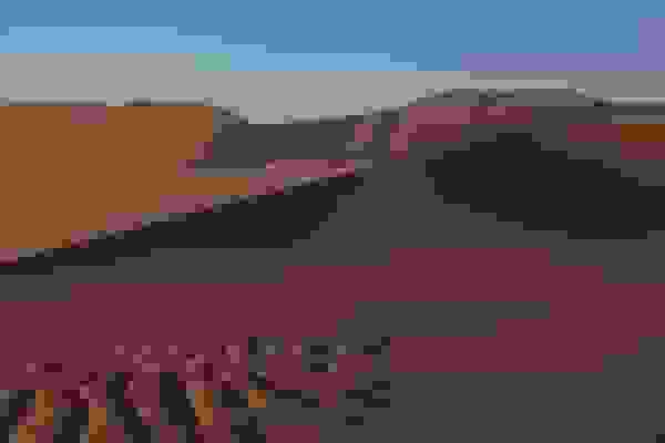 نجات دو کویرنورد گمشده در نهبندان پس از ۱۲ ساعت جستجو