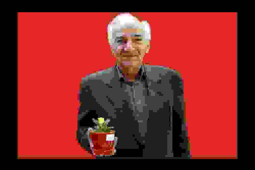 بازی بنفشهخواه در سریال «مادران» درباره جنگ ۱۲ روزه؛ رویا افشار در نقش مادر شهید