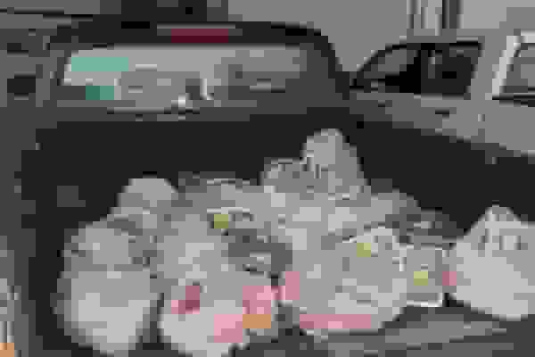 معدومسازی بیش از یک تن مواد پروتئینی تاریخگذشته در زابل