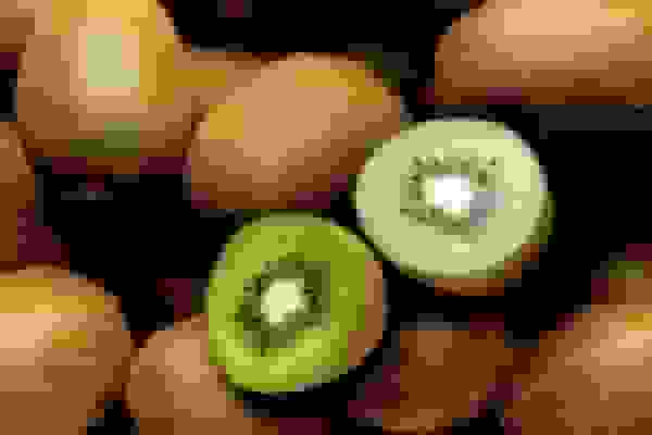 میوهای برای بهبود یبوست