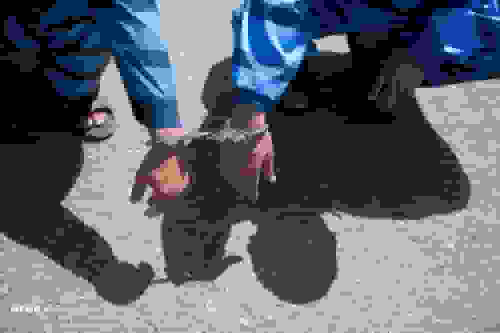 کشف ۱۵ کیلو مواد مخدر صنعتی توسط پلیس خراسان شمالی