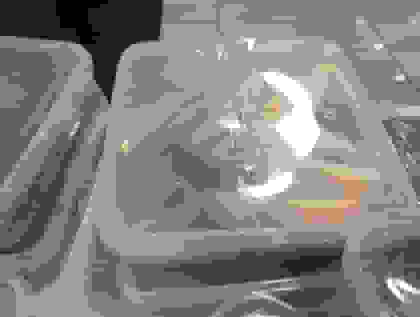 کشف و ضبط ۱۶ خزنده قاچاق در منزل مسکونی پرند