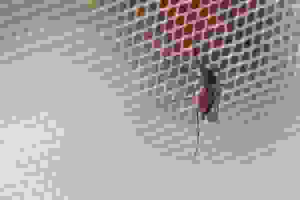 شناسایی ناقل تب دنگی در ایران قبل از ظهور موارد بیماری