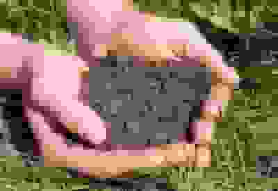 ۵۵ درصد اراضی کشاورزی دارای ماده آلی کمتر از یک درصد هستند