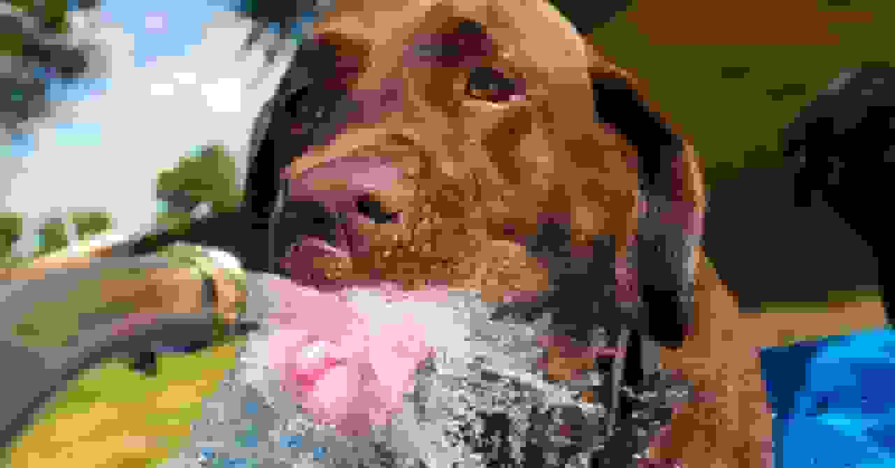 تشریح علمی احساس تشنگی و مکانیسمهای مغزی کنترل آن