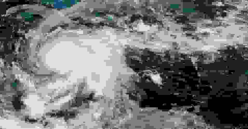 طوفان ملیسا هواشناسان را وحشت زده کرده است