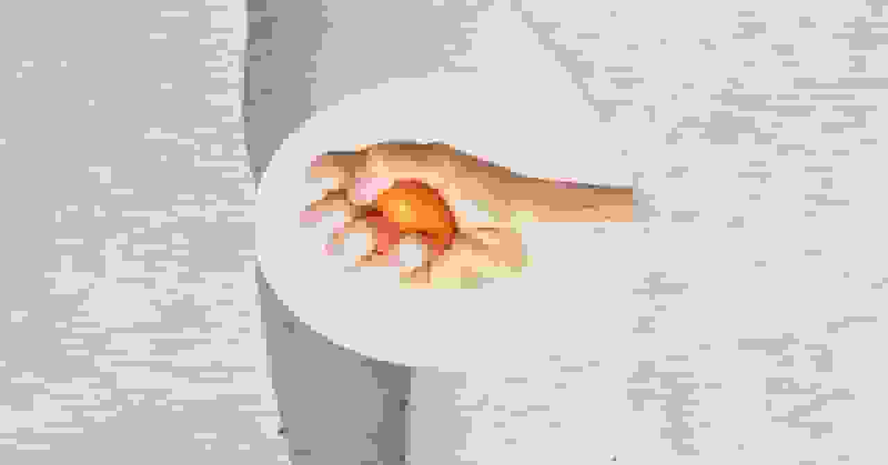 کف لگن: مسئلهای عمیقاً ناشناخته در سلامت مدرن