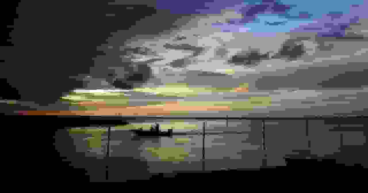 اداره حیاتوحش و شیلات لوئیزیانا افراد را برای اداره مهاجرت بازداشت میکند