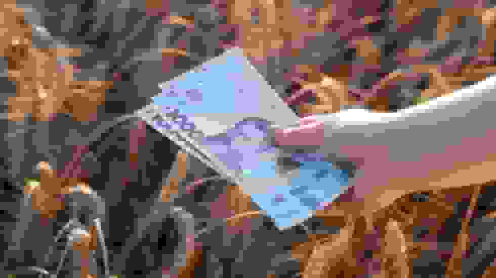 صندوق بینالمللی پول کیف را تحت فشار قرار میدهد تا ارز خود را تضعیف کند