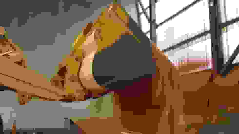 اهدای ۳۰ هزار تن کود پتاس توسط غول روسی به بنگلادش