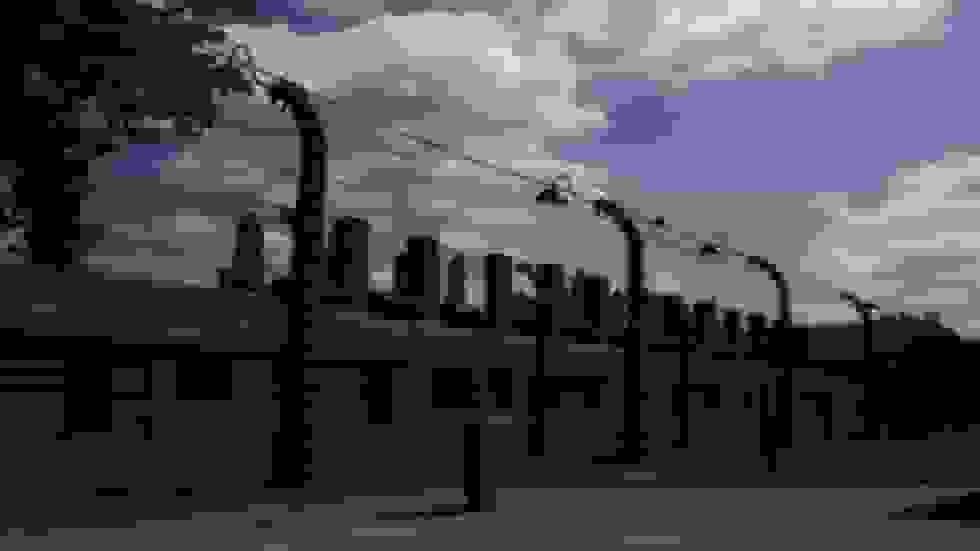 لغو حراج آثار اردوگاههای مرگ نازیها در آلمان پس از اعتراضات