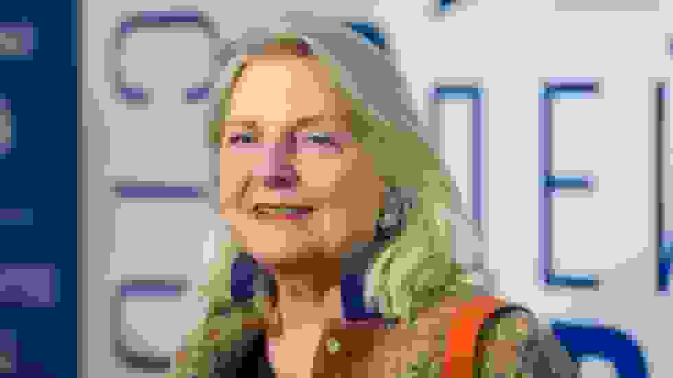 سیاستهای انرژی اتحادیه اروپا 'غیرقانونی' است – وزیر خارجه سابق اتریش