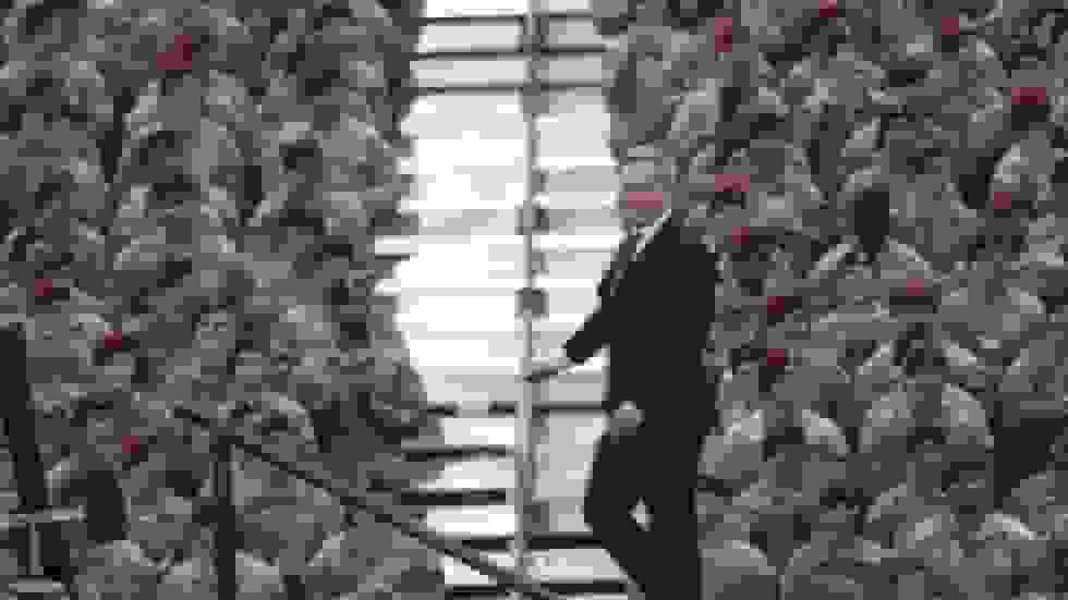 دن دریسکال: نماینده ویژه جدید ترامپ برای اوکراین کیست؟