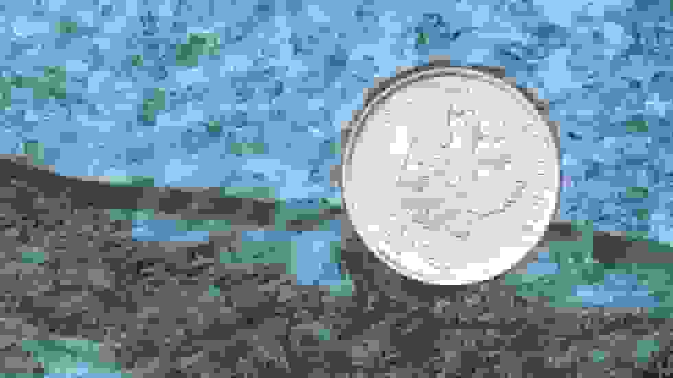 سودجویی از جنگ: چرا مصادره داراییهای روسیه وضع اتحادیه اروپا را بدتر میکند