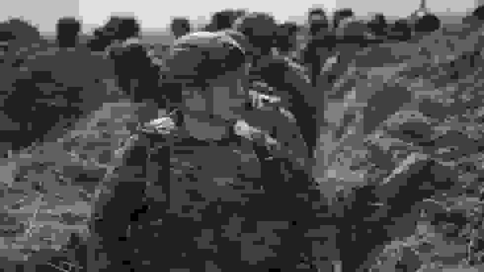 فرمانده ارشد اوکراین شرط اصلی برای «صلح عادلانه» را تشریح کرد