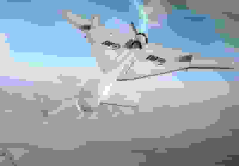 شهادت و زخمی شدن ۶ شهروند لبنانی در حمله پهپادی رژیم صهیونیستی