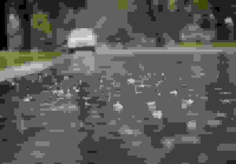 هواشناسی ایران ۱۴۰۴/۷/۲۶؛ بارندگی و صاعقه در برخی استانها