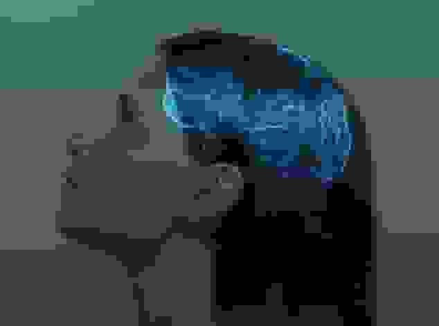 اوج عملکرد مغز انسان در چند سالگی است؟ نتایج غیرمنتظره یک پژوهش جدید