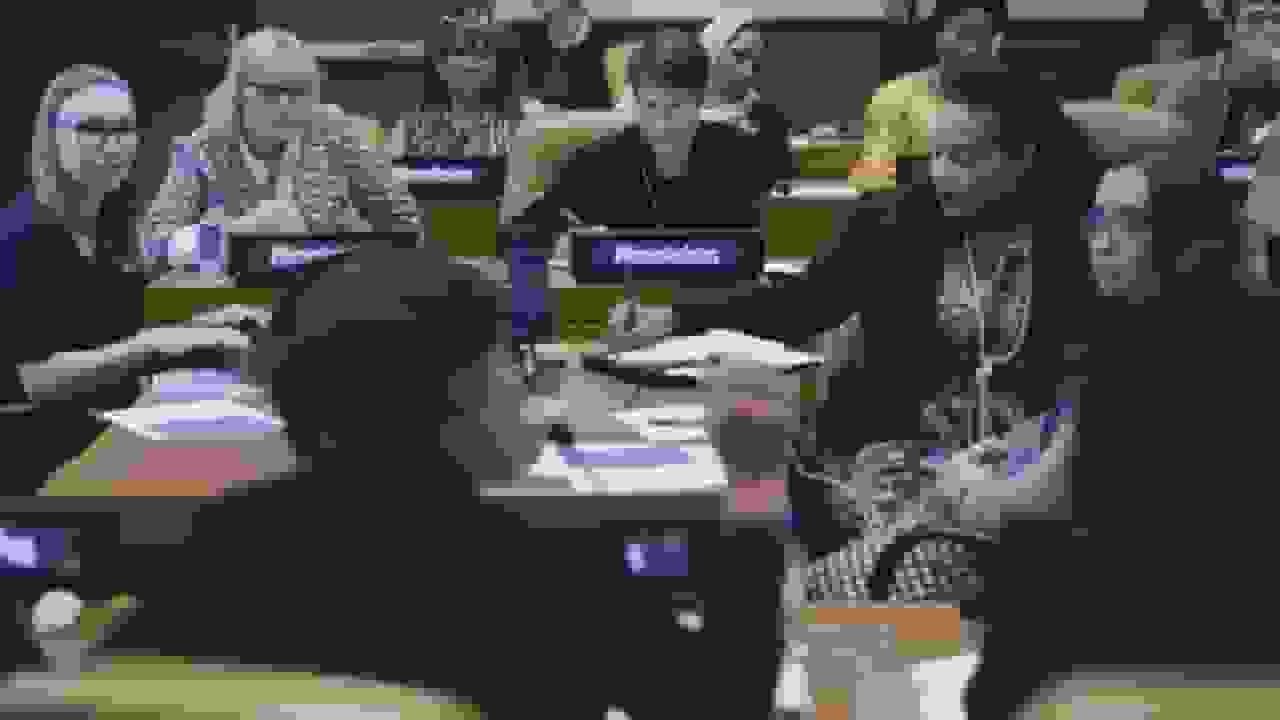 زنان، جنگ و صلح: ۲۵ سال پس از قطعنامه تاریخی شورای امنیت