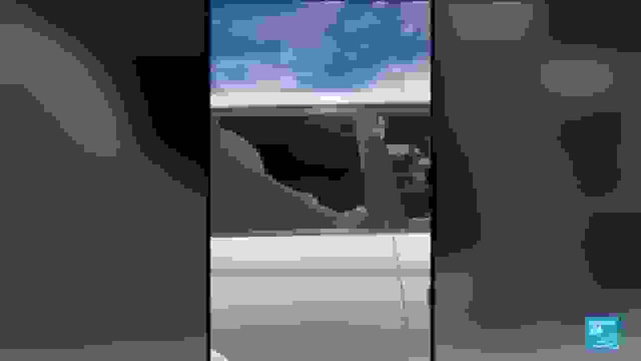 دستگیری پنج نفر پس از سوء قصد ادعایی به رئیس جمهور اکوادور دانیل نوبوا