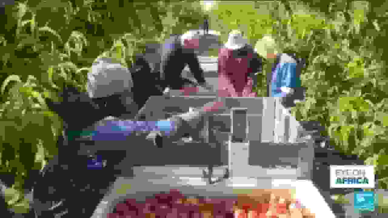 چین و آفریقای جنوبی روابط تجاری خود را با قرارداد جدید صادراتی تعمیق میکنند