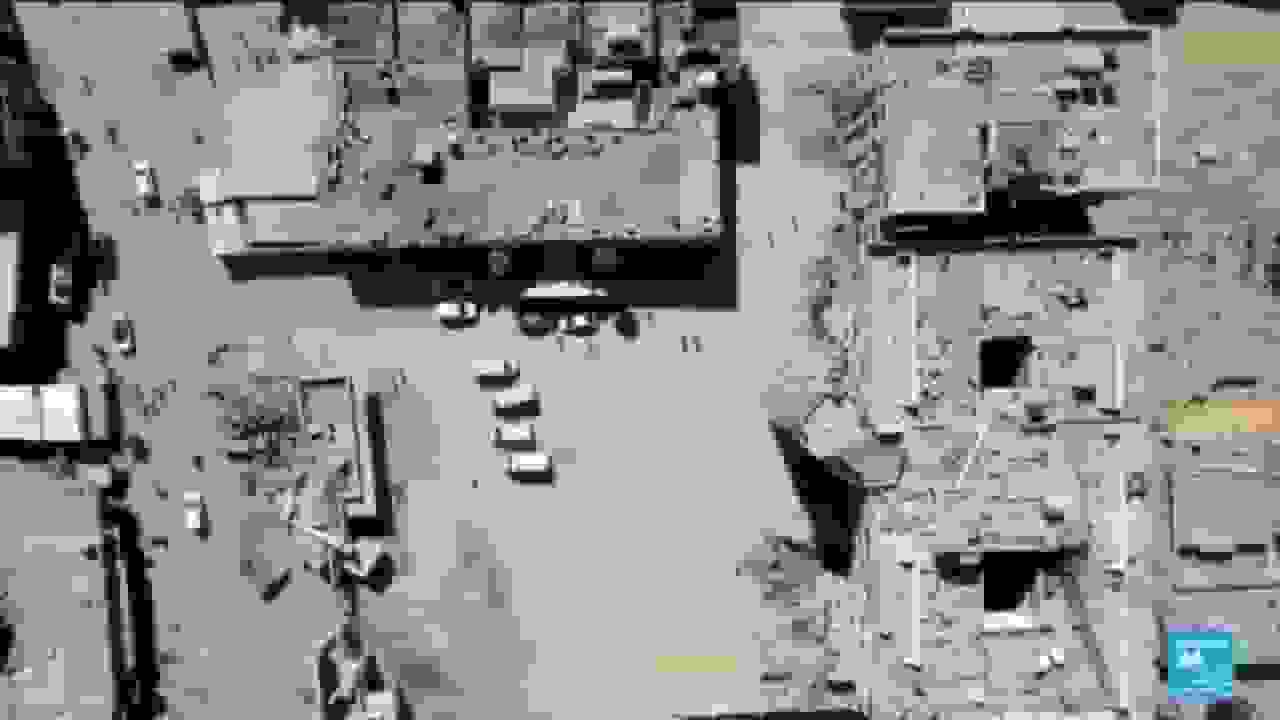 گیاهان و جانوران قربانیان دیگر جنگ در غزه، تهدید تعادل زیستبومی