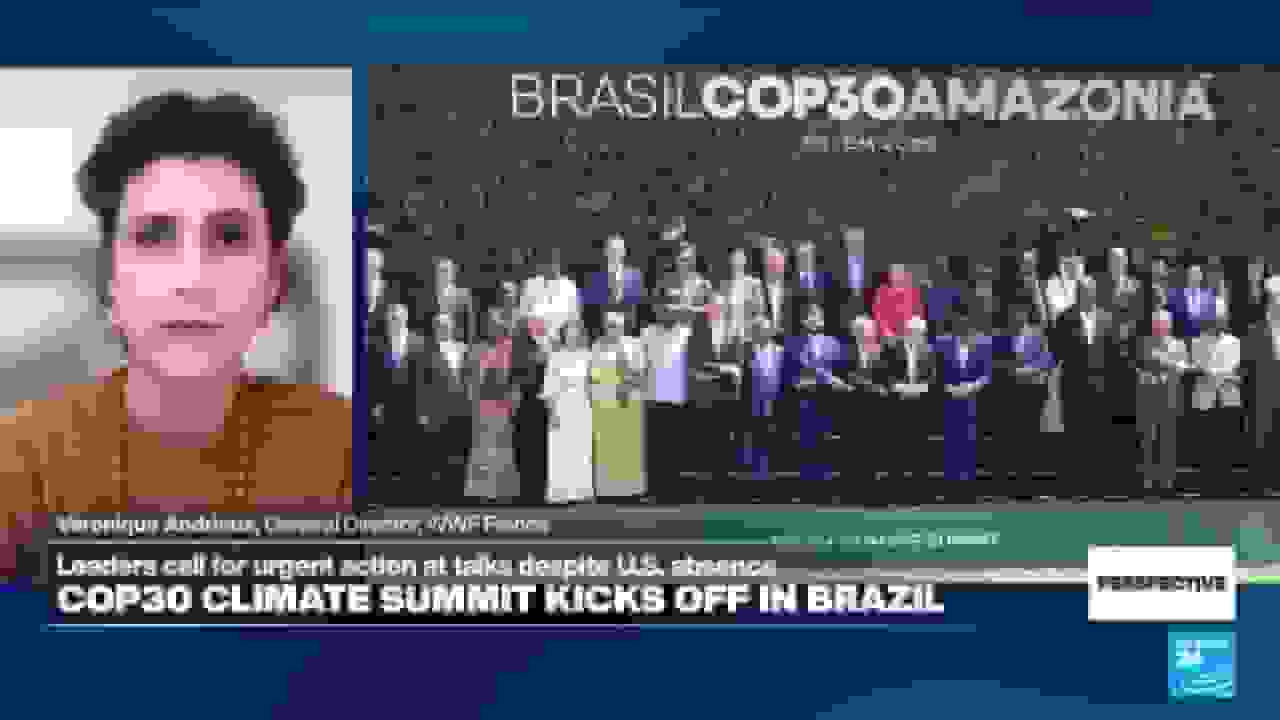 اجلاس آبوهوایی COP30: رئیس صندوق جهانی طبیعت فرانسه خواستار اقدام و اجرا میشود