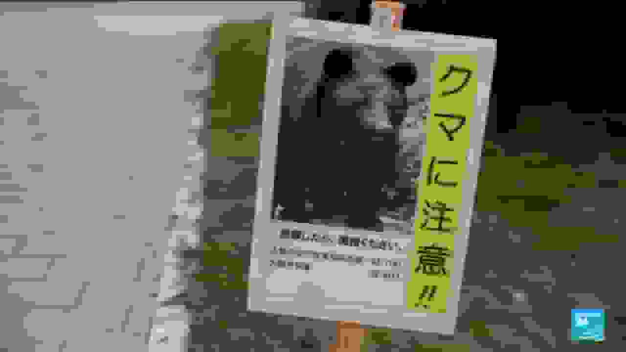 ژاپن ارتش خود را برای مقابله با حملات خرسها مستقر کرده است