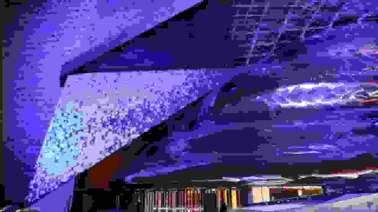 دستگیری چهار معترض در کنسرت ارکستر فیلارمونیک اسرائیل در پاریس