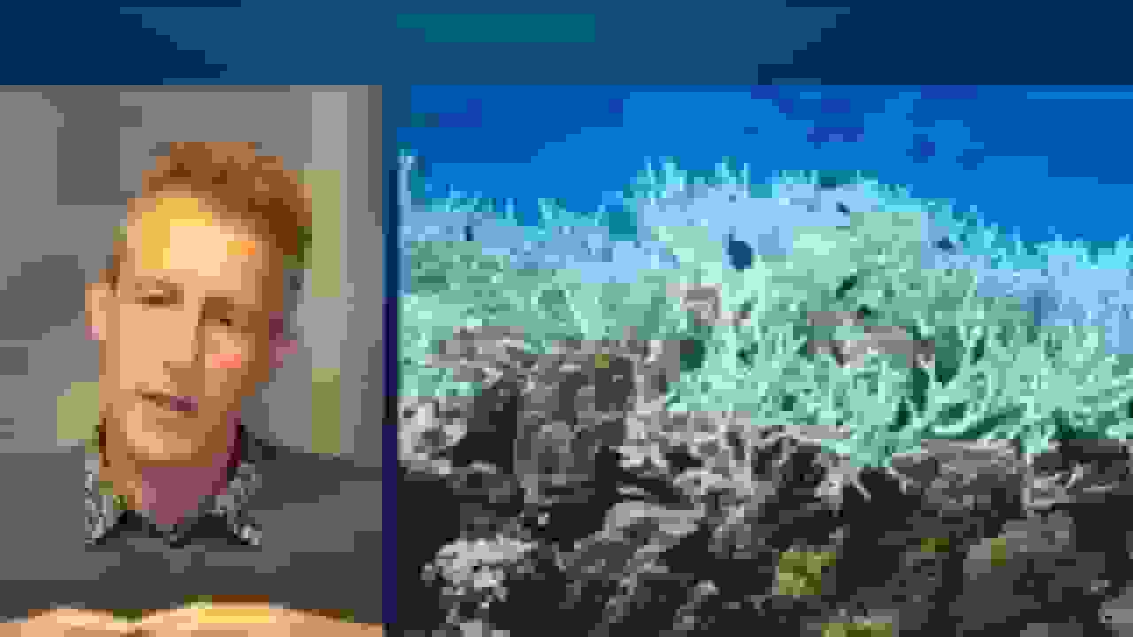 صخرههای مرجانی از حد بقا عبور کردند، نخستین نقطه اوج فاجعهبار آبوهوایی زمین