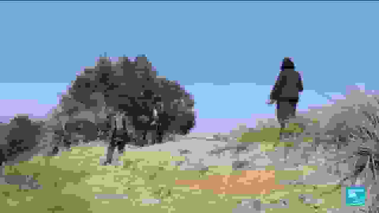 درگیریهای مرزی افغانستان و پاکستان دهها کشته برجای گذاشت