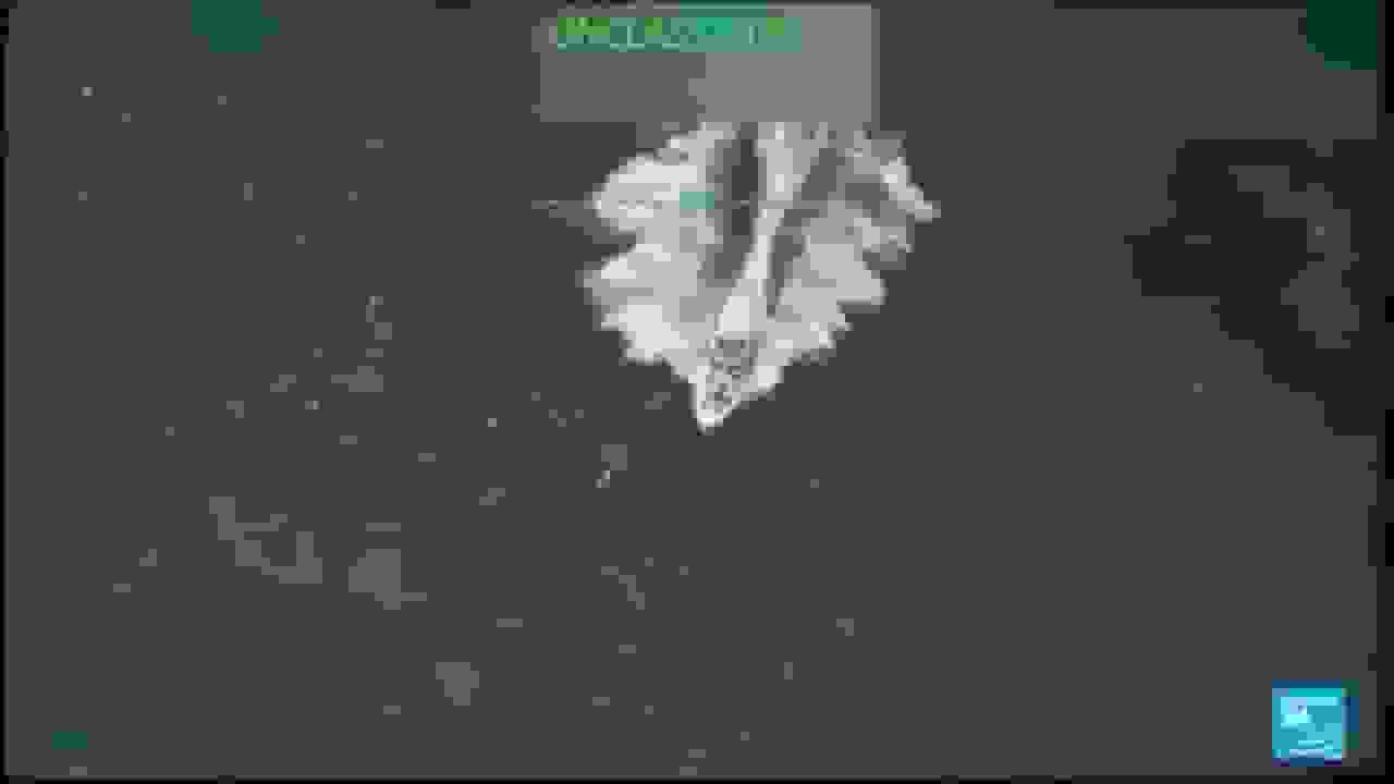 آمریکا دو حمله به کشتی در کارائیب را تأیید کرد