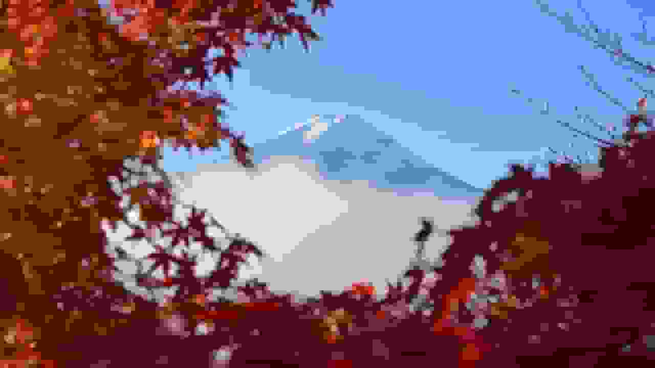 کوه فوجی ژاپن: زیبایی پاییزی علیرغم ترس از افزایش حمله خرسها جمعیت را جذب میکند