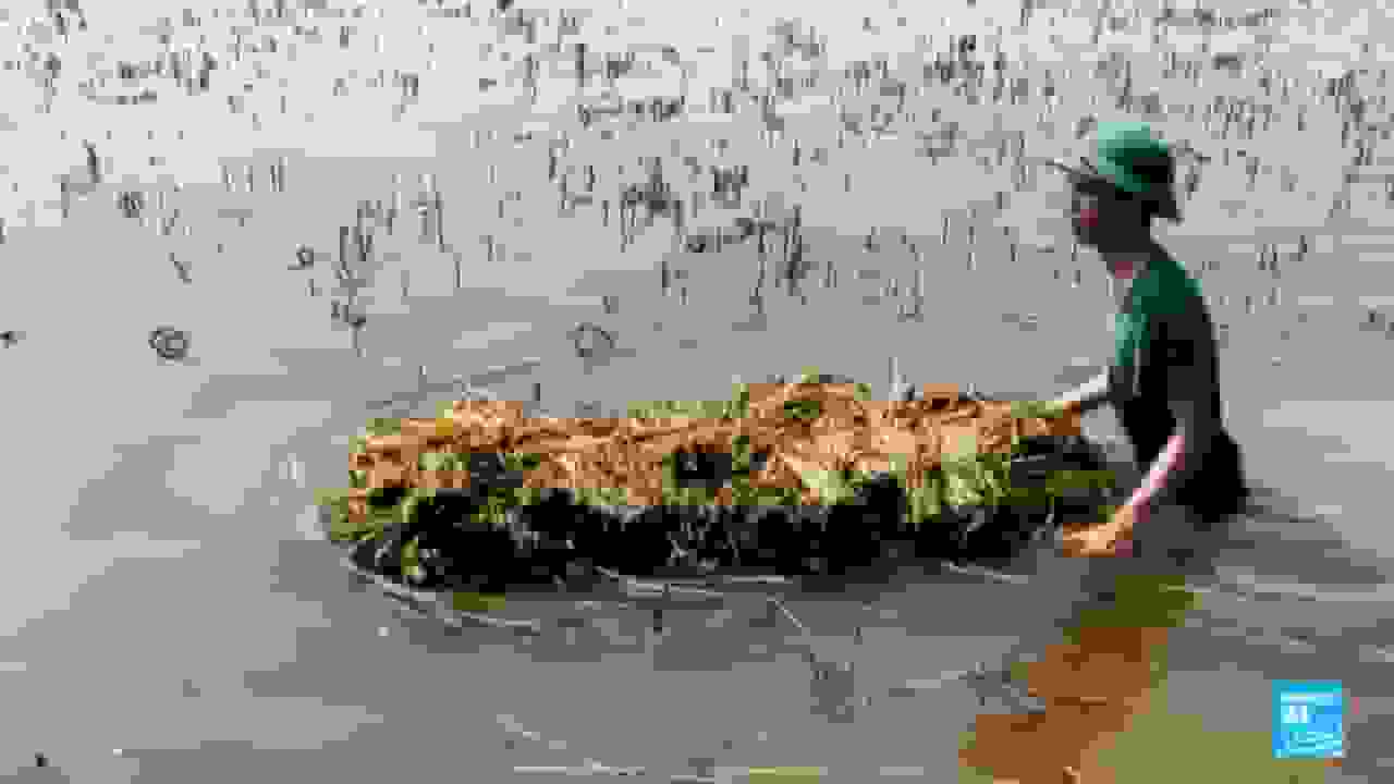 تهدید دلتای مکونگ ویتنام توسط افزایش سطح دریا