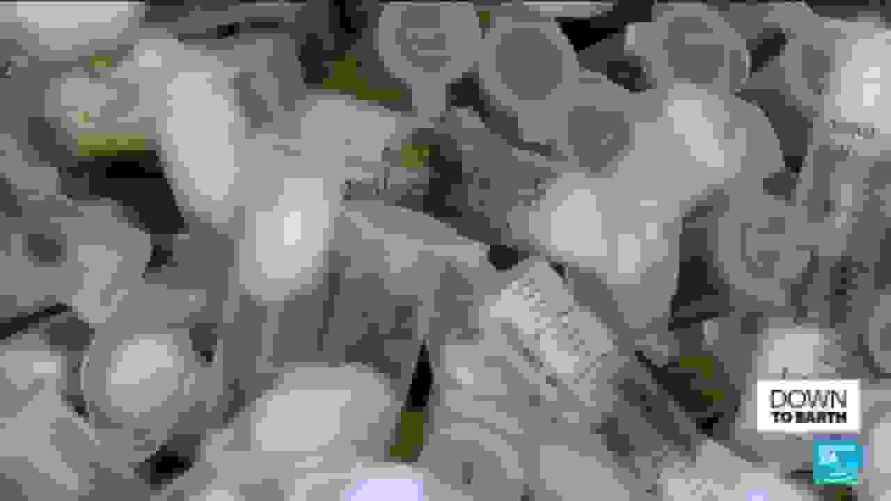 قاچاق غیرقانونی حشرات نادر در حال افزایش است