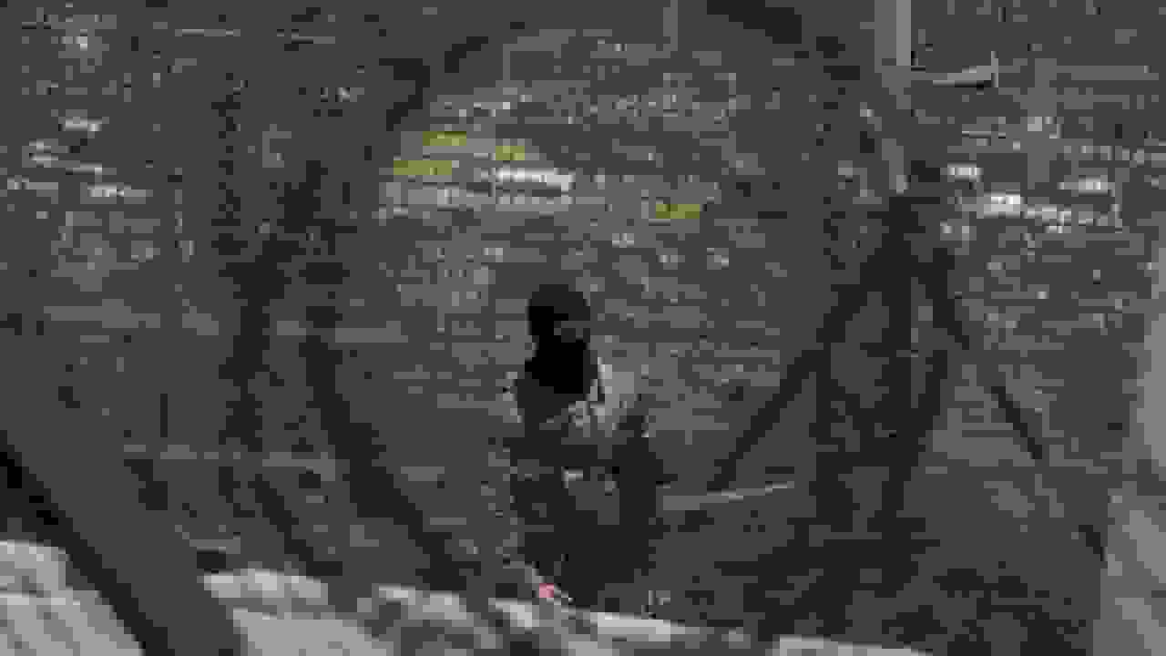 نتانیاهو از نیروهای اسرائیلی در منطقه حائل سوریه بازدید کرد