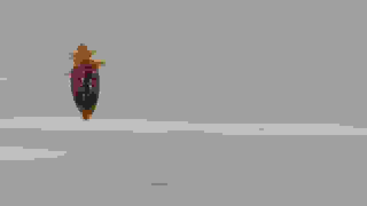 مالزی: دانشمندان ساسها را به جاسوسهای صحنه جرم تبدیل میکنند