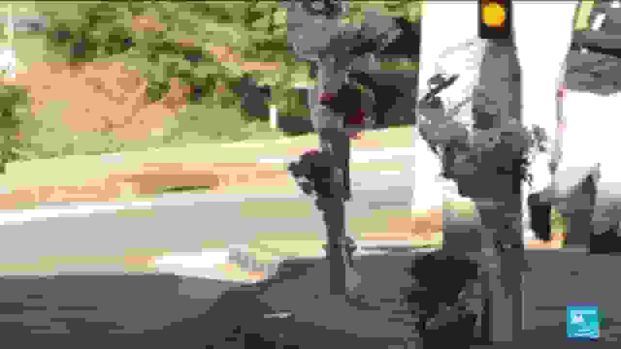 فرانسه با راهپیمایی خاموش ملی از مهدی کسسی، قربانی تیراندازی مارسی تجلیل میکند