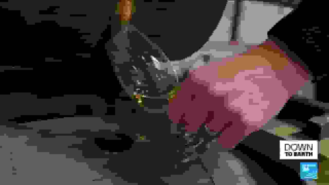 پیت، یا نه؟ عنصر نمادین ویسکی اسکاتلندی در مرکز نگرانیهای اقلیمی