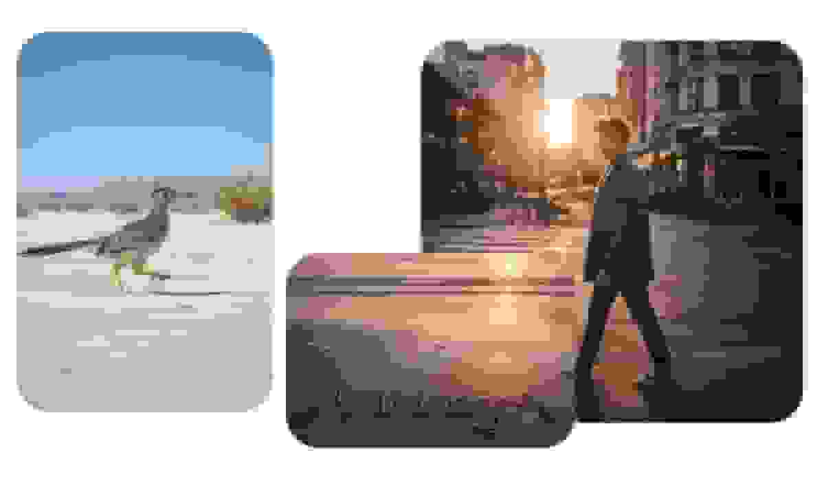 مایکروسافت اولین مولد تصویر هوش مصنوعی داخلی خود را معرفی کرد