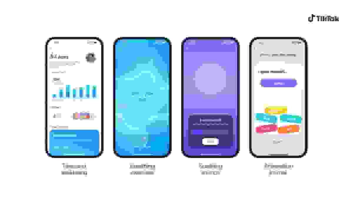 تیکتاک افزود دفترچه تأیید مثبت و تولیدکننده صدا درونبرنامهای