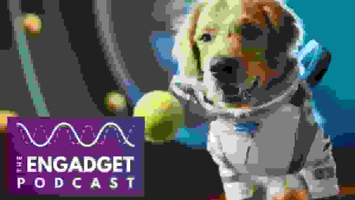 چگونه در دنیای وحشتآور ویدیوهای هوش مصنوعی زنده بمانیم